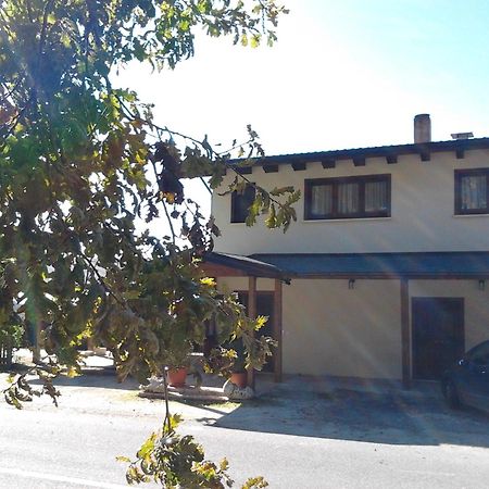 Agrihotel Papaya San Pietro Apostolo Luaran gambar