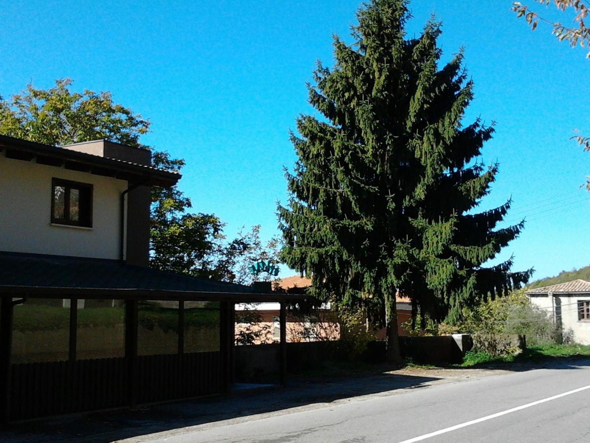 Agrihotel Papaya San Pietro Apostolo Luaran gambar